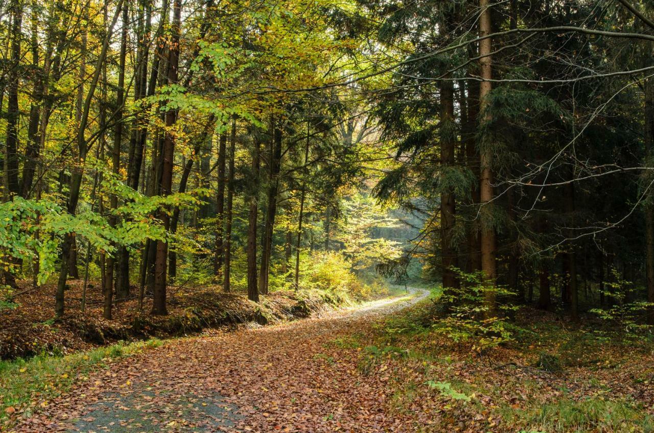 Weinberghaus Prossen Hébergement de vacances *